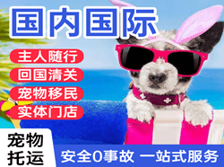 萧山机场货运国际宠物托运 【国